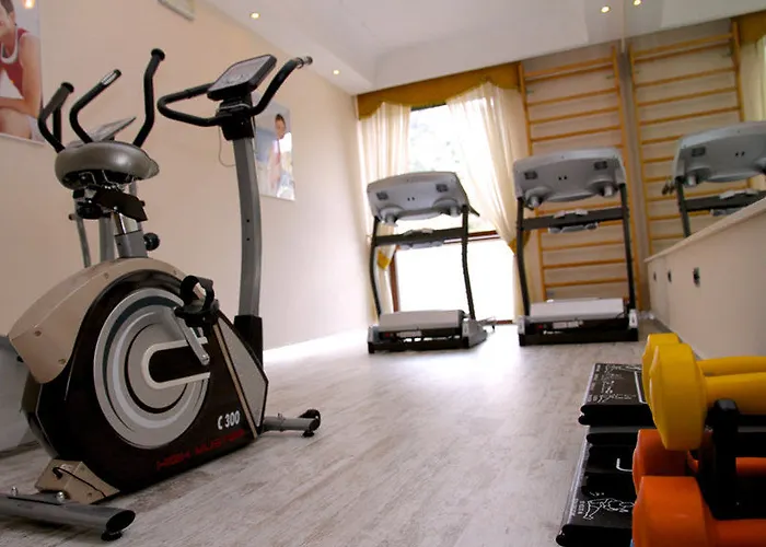 호텔 울리세 디럭스 3*